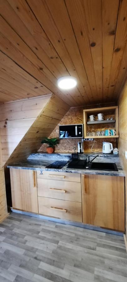 Apartments Zvoh, Krvavec, Ski-In, Ski-Out 서클리예나고렌스켐 외부 사진